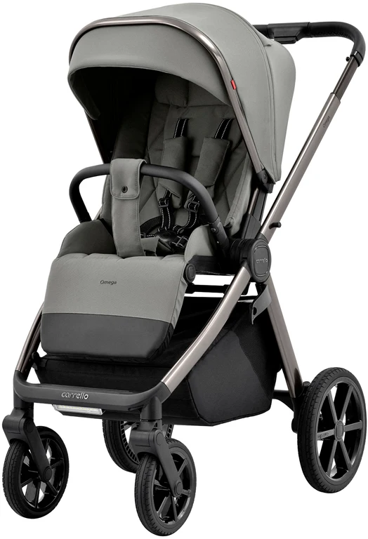 Коляска дитяча 3 в 1 Carrello Omega CRL-6535 Superb Grey